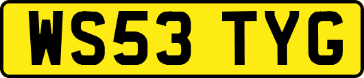 WS53TYG