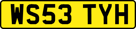 WS53TYH