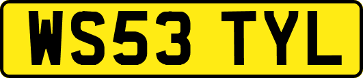 WS53TYL
