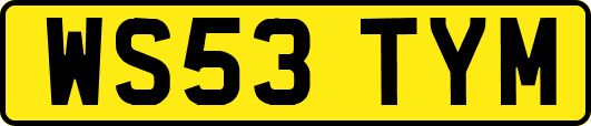 WS53TYM