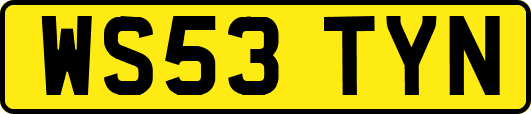 WS53TYN