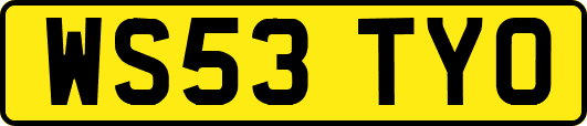 WS53TYO