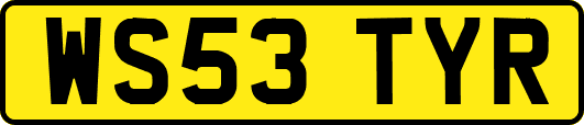 WS53TYR