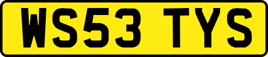 WS53TYS
