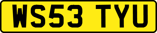 WS53TYU