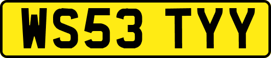 WS53TYY