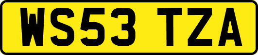 WS53TZA