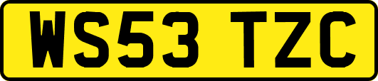 WS53TZC