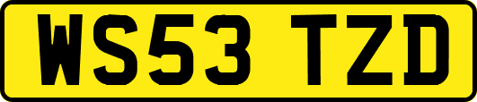 WS53TZD