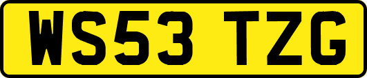 WS53TZG