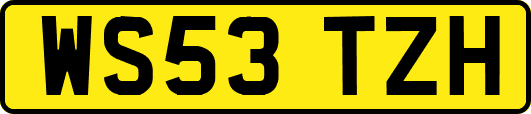 WS53TZH