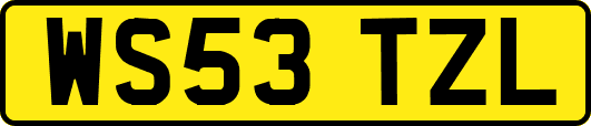 WS53TZL