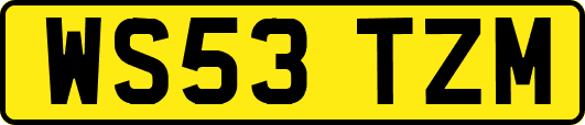 WS53TZM