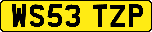 WS53TZP
