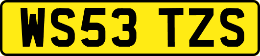 WS53TZS