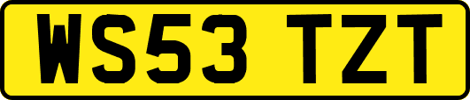 WS53TZT