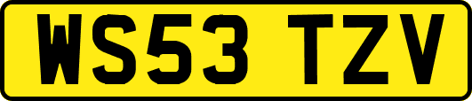 WS53TZV