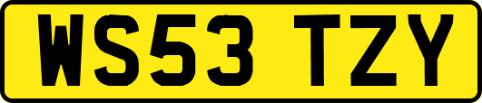 WS53TZY