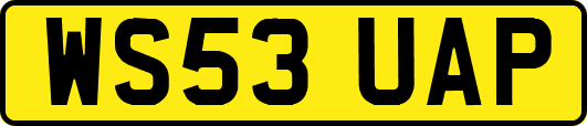 WS53UAP