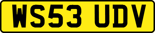 WS53UDV