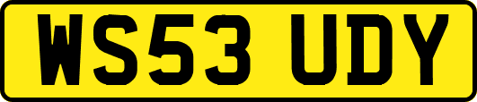 WS53UDY