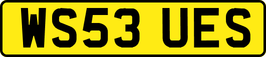 WS53UES