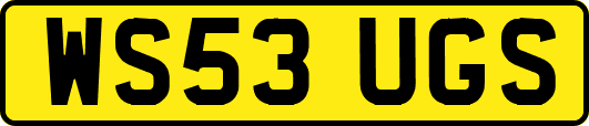 WS53UGS