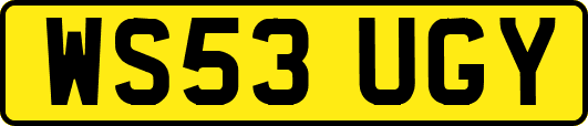 WS53UGY