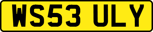 WS53ULY