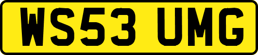 WS53UMG