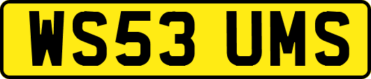 WS53UMS