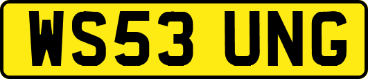 WS53UNG