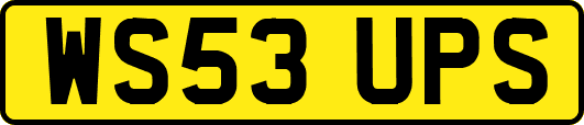 WS53UPS