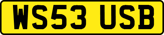 WS53USB