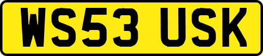 WS53USK