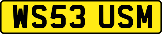 WS53USM
