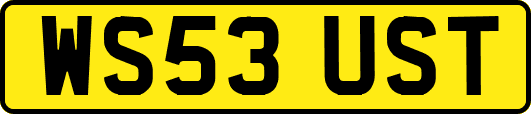 WS53UST