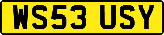 WS53USY