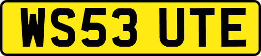 WS53UTE