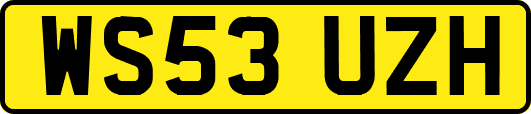 WS53UZH