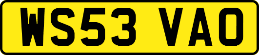 WS53VAO