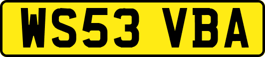 WS53VBA