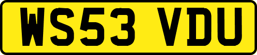 WS53VDU