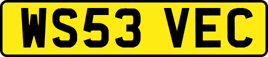 WS53VEC