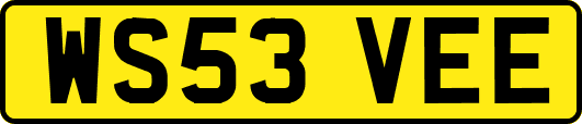 WS53VEE