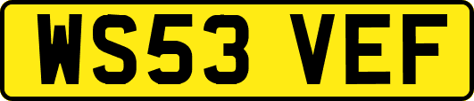 WS53VEF