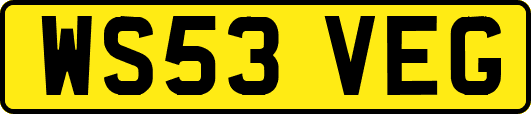 WS53VEG
