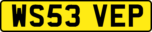 WS53VEP