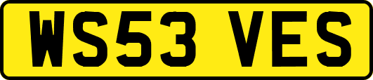 WS53VES