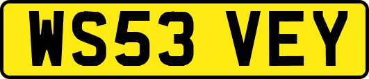 WS53VEY